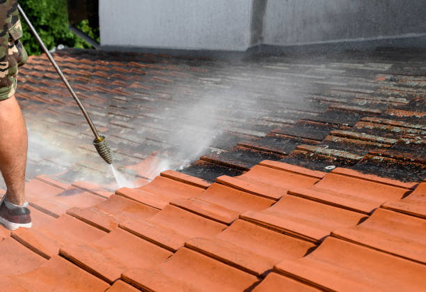 Best Pressure Washing Company Near Me  in Sandy Hook, CT